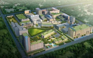 臣通觀點丨華夏幸福，誰主沉浮？